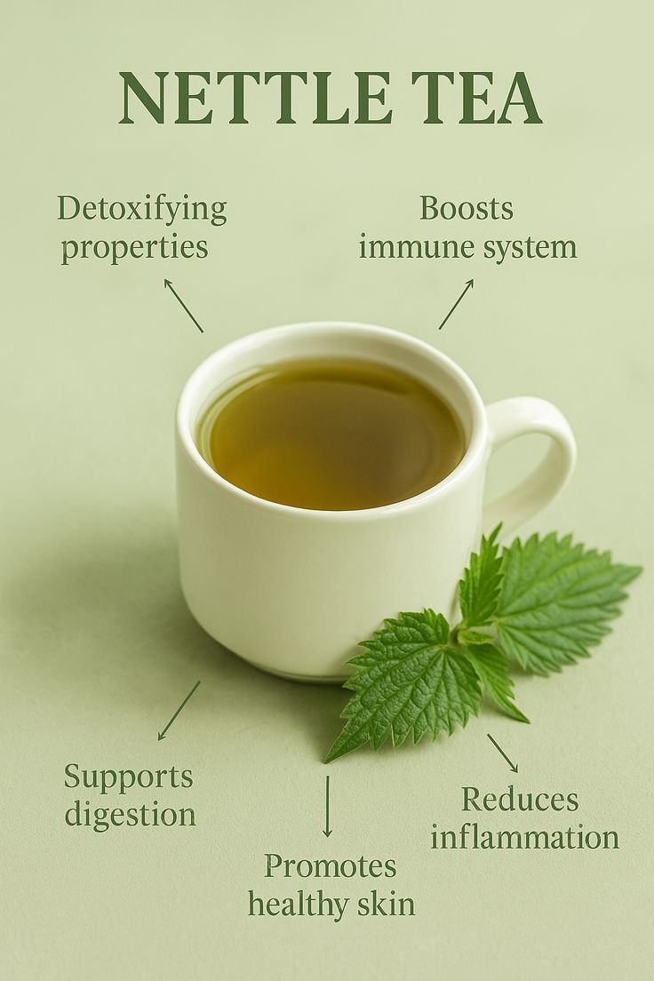 Understanding Nettle: One of Nature's Most Mineral Rich Plants