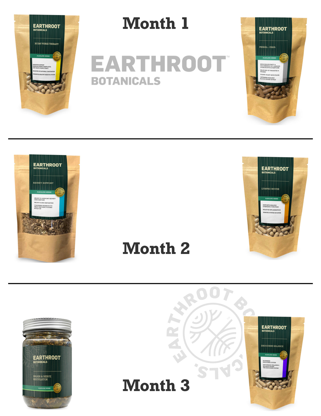3 Month Detox Program